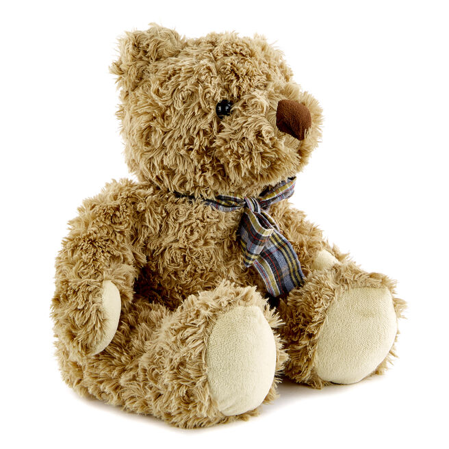 Traditional Brown Bear Soft Toy