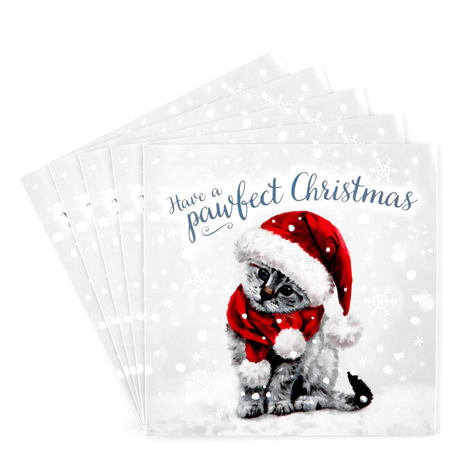 Charity Christmas Cards - Christmas Cat Pack Of 10