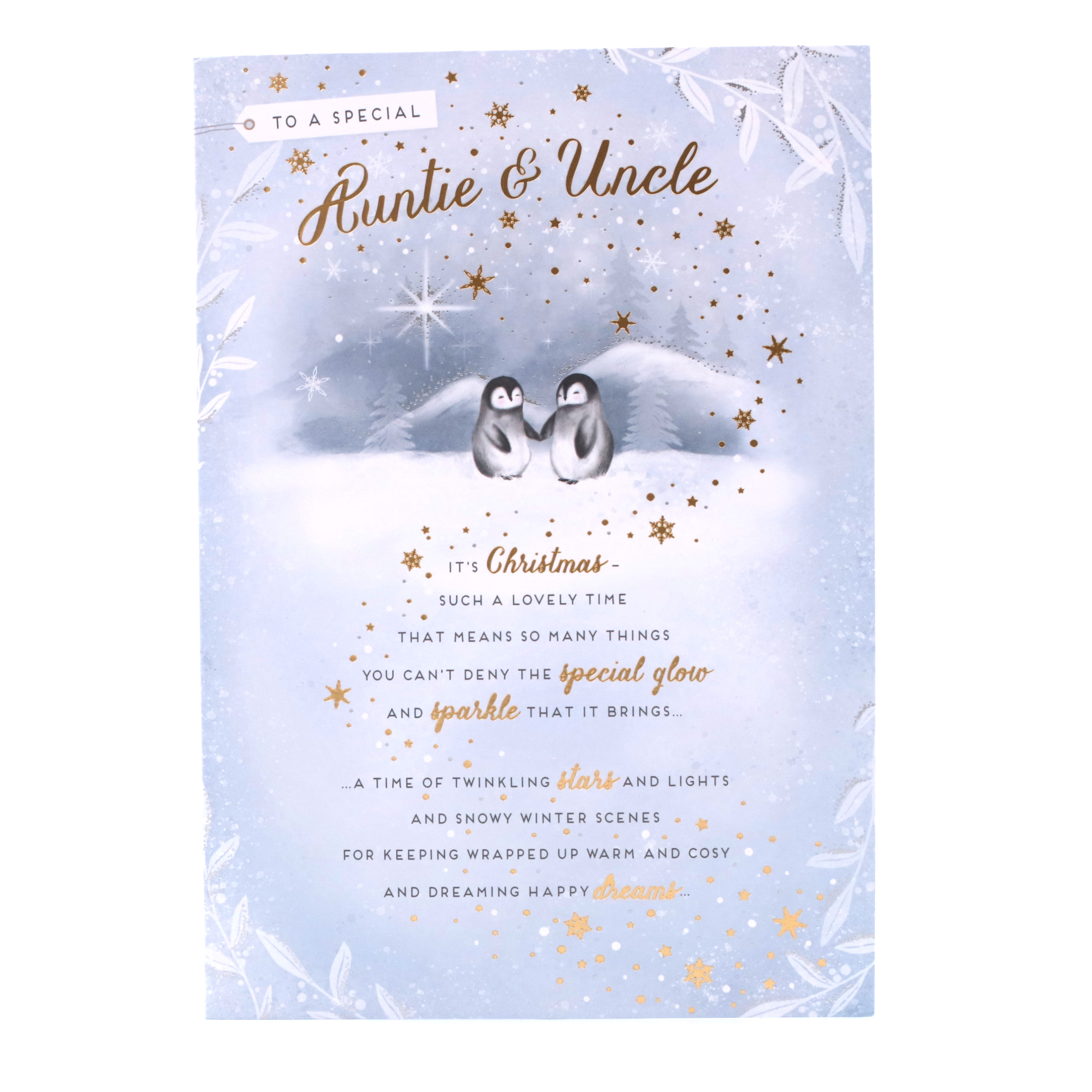 Christmas Card - Auntie And Uncle, Cute Baby Penguins