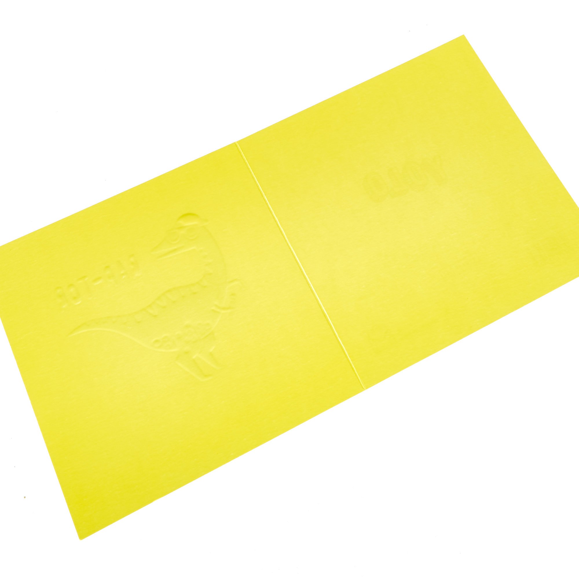 Any Occasion Card - Rap-Tor