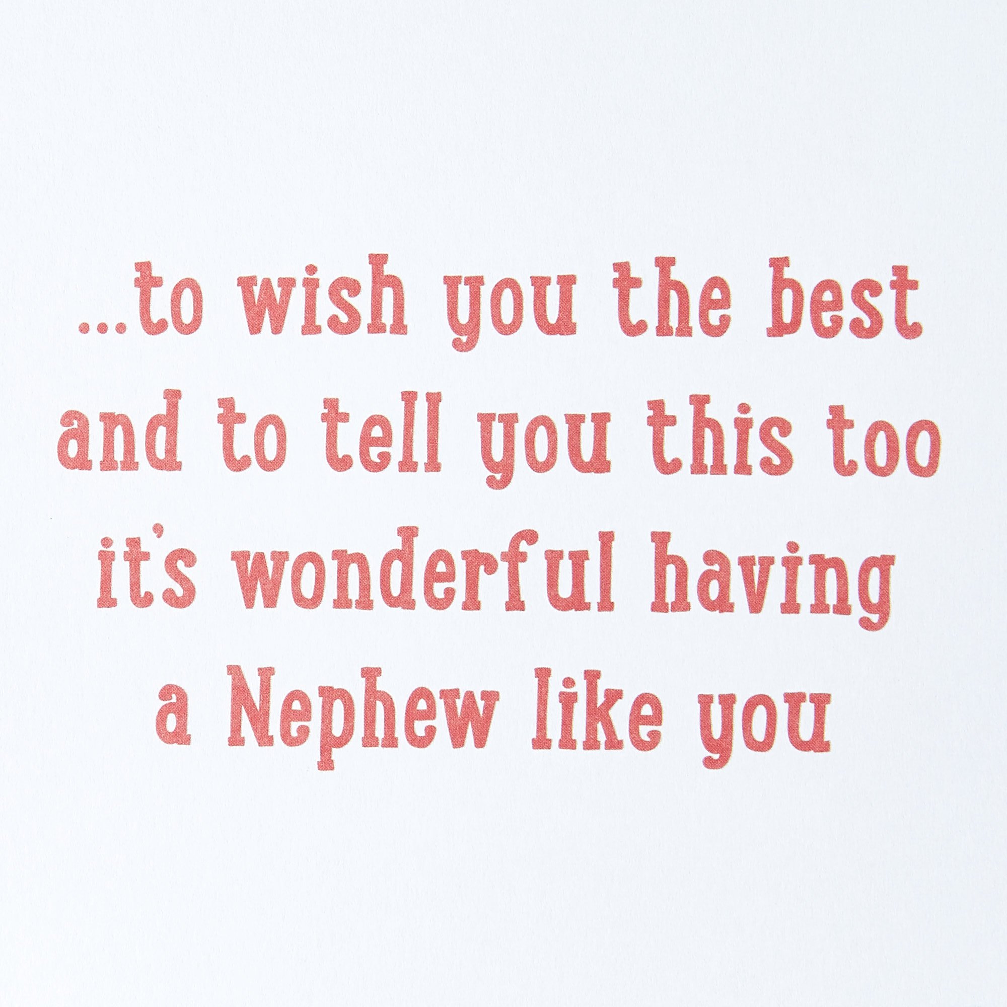 Christmas Card - Brilliant Nephew Pug