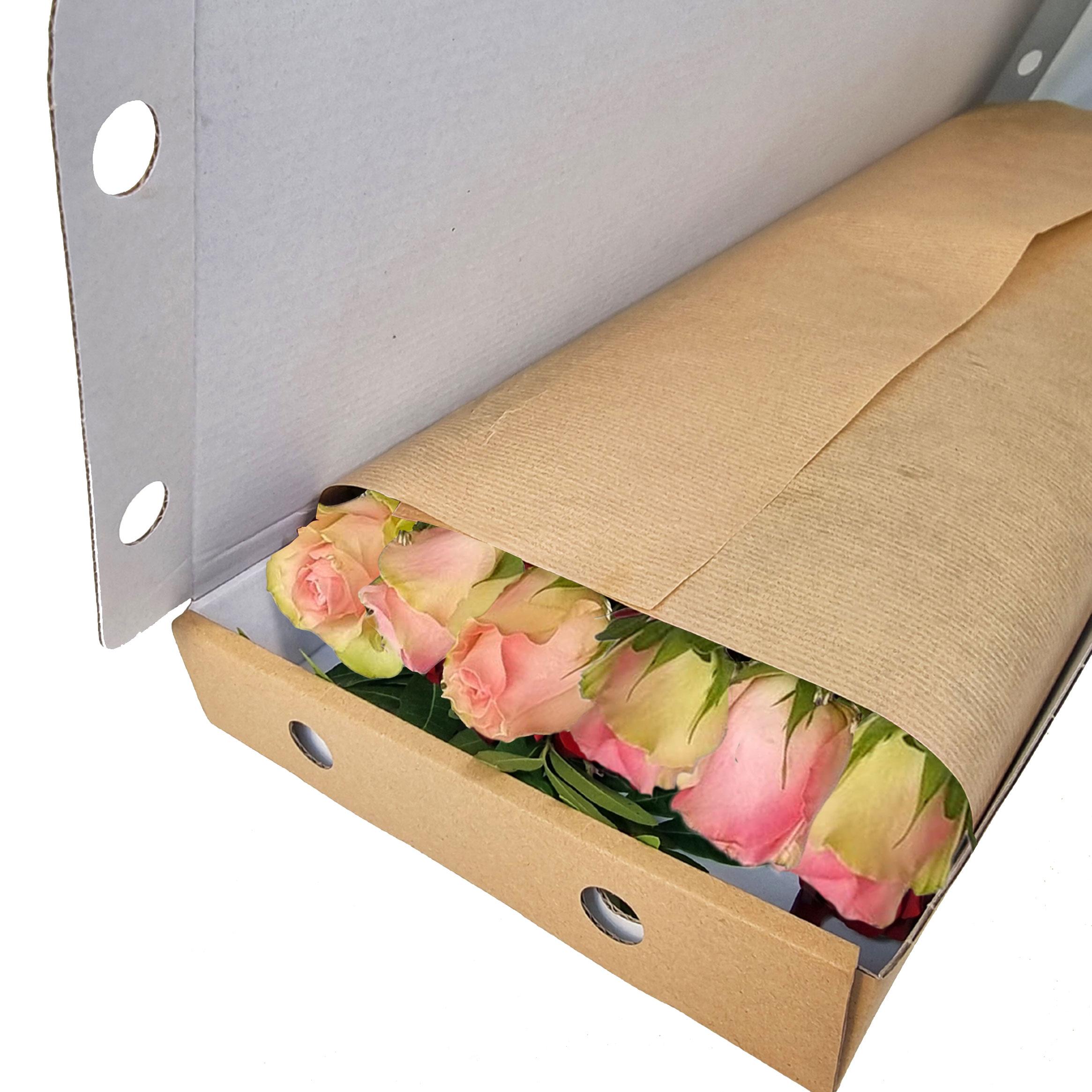 Letterbox Pink Roses 
