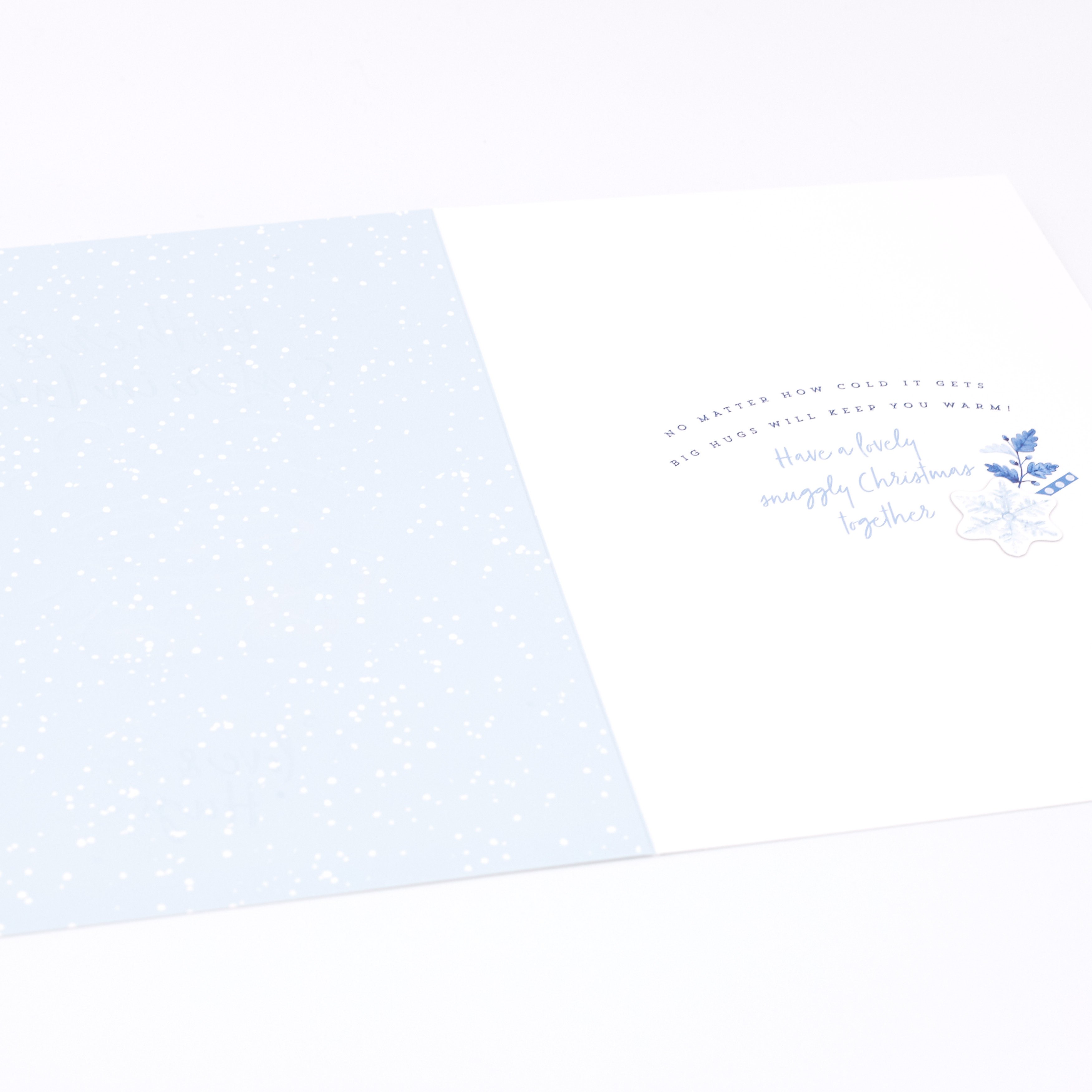 Hugs Bear Christmas Card - Brother And Sister In Law 