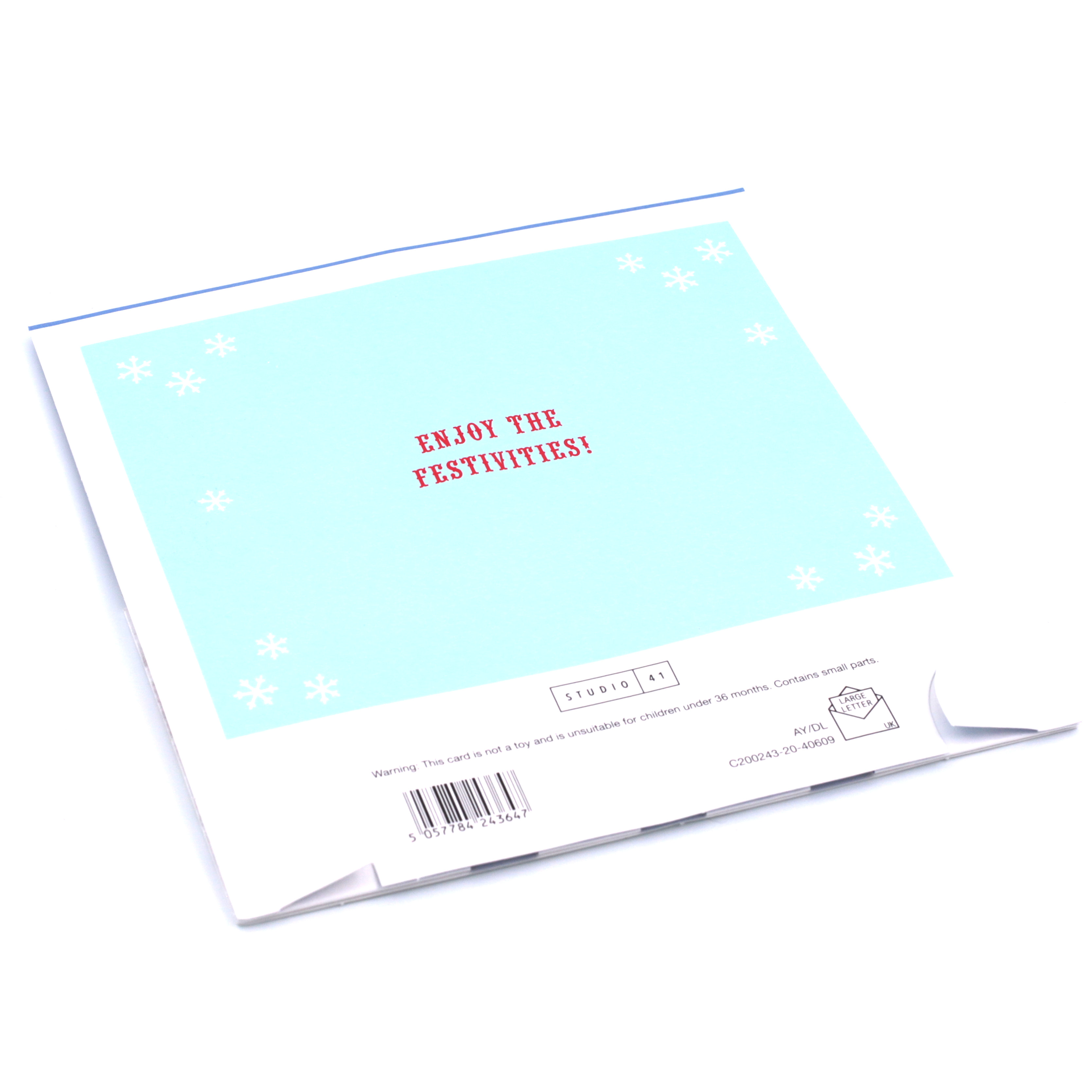 Exquisite Collection Christmas Pop-Up Card - Brother And Sister In Law, Raccoon Car