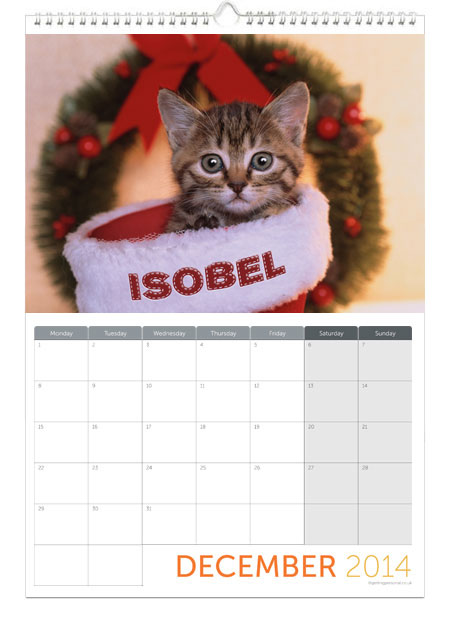 Printess Test - Personalised Cute Animals Calendar
