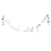 Gender Reveal Party Bundle