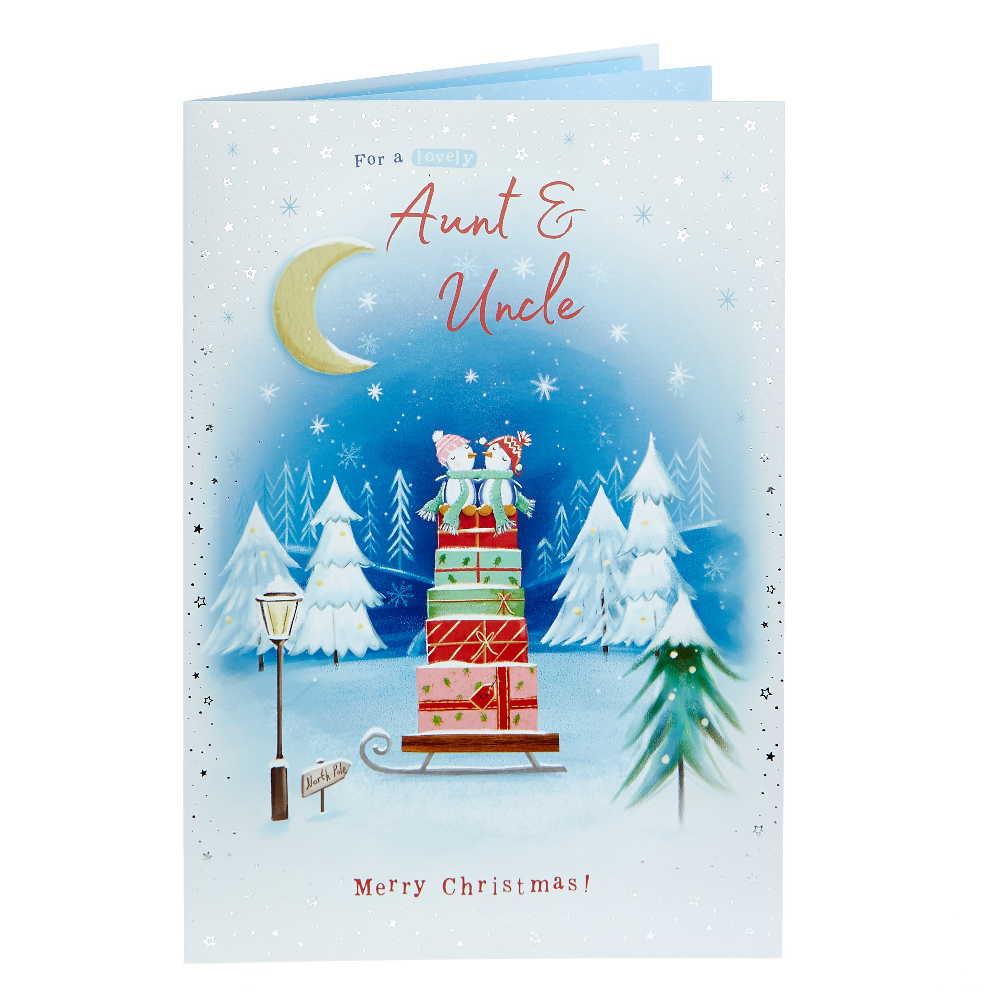 Christmas Card - Aunt & Uncle Penguins 
