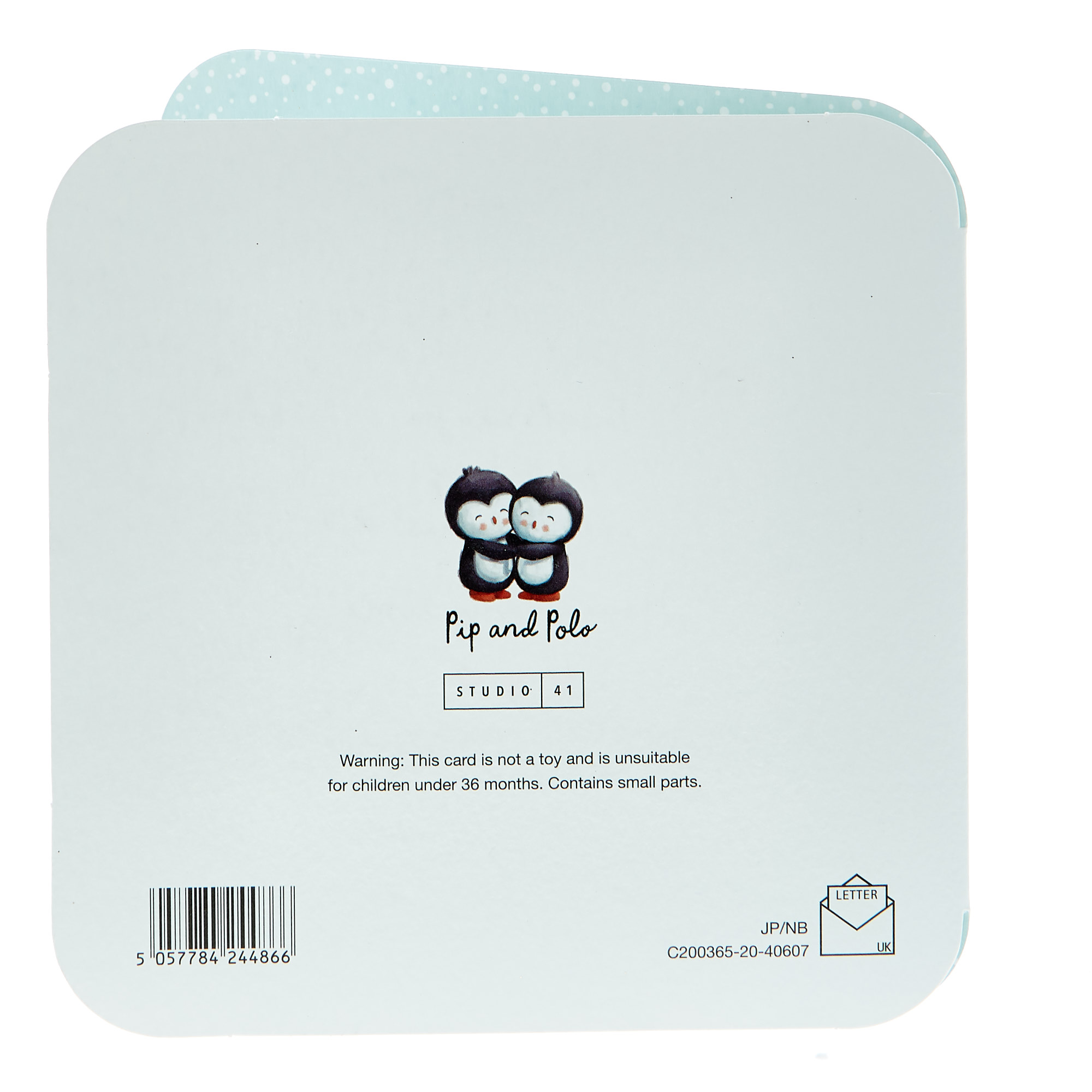 Boutique Christmas Card - Special Friends, Racoon And Penguin