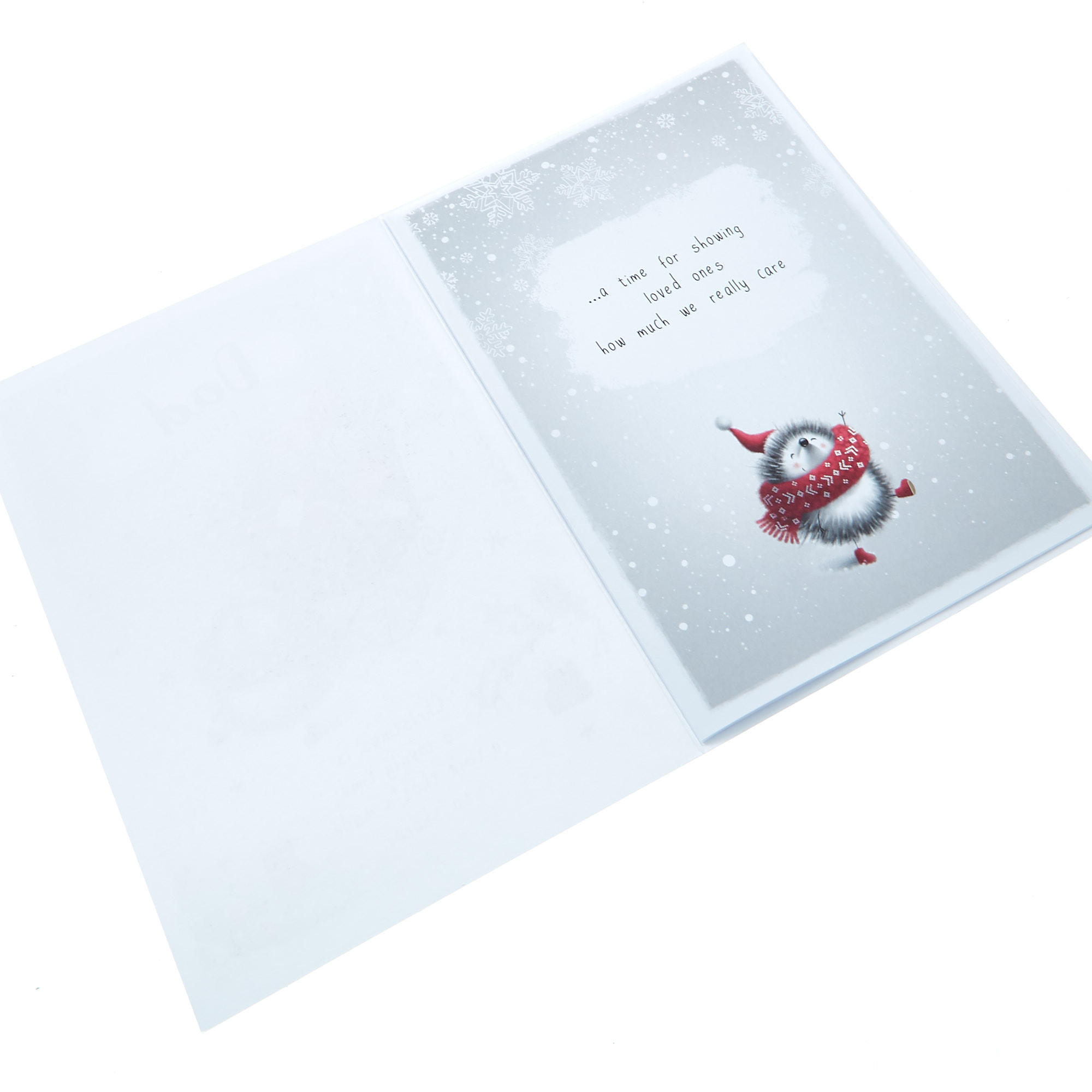 Christmas Card - Special Dad Hedgehog 