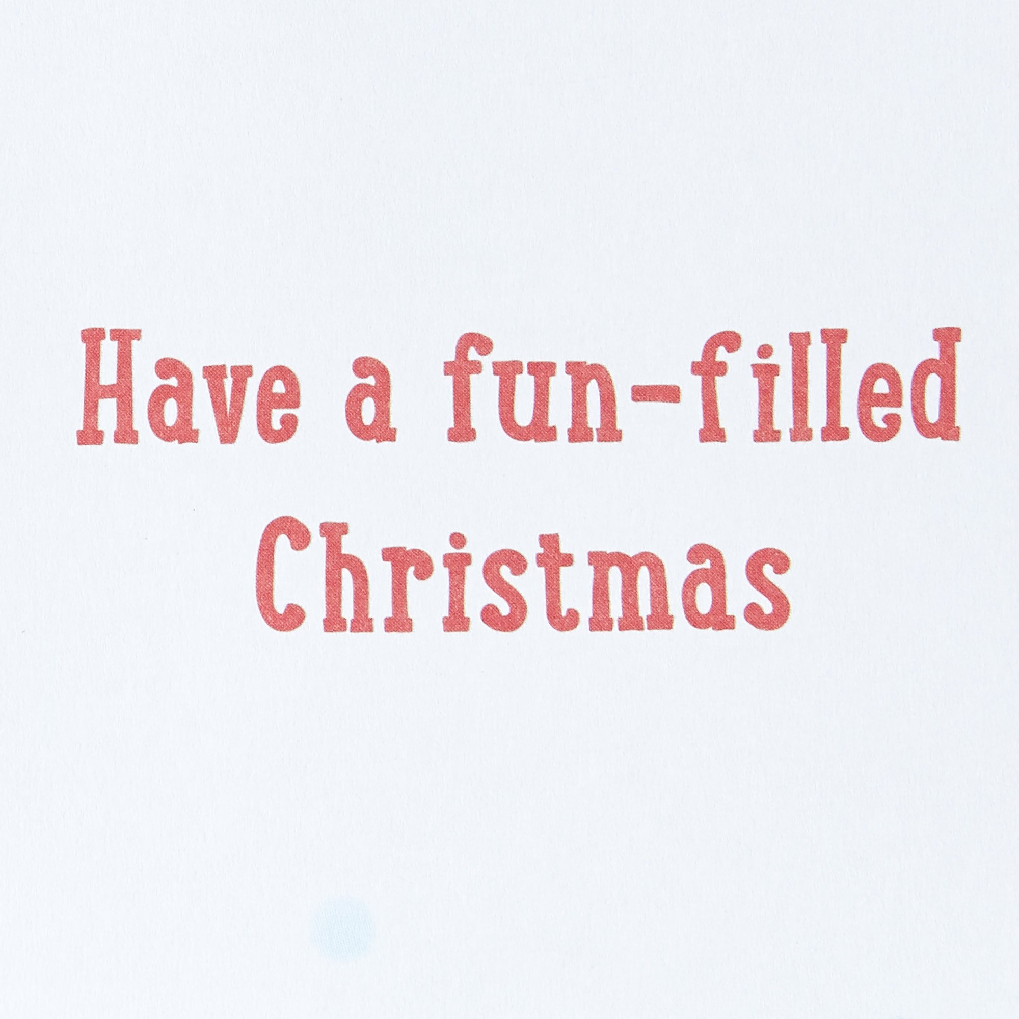 Christmas Card - Brilliant Nephew Pug