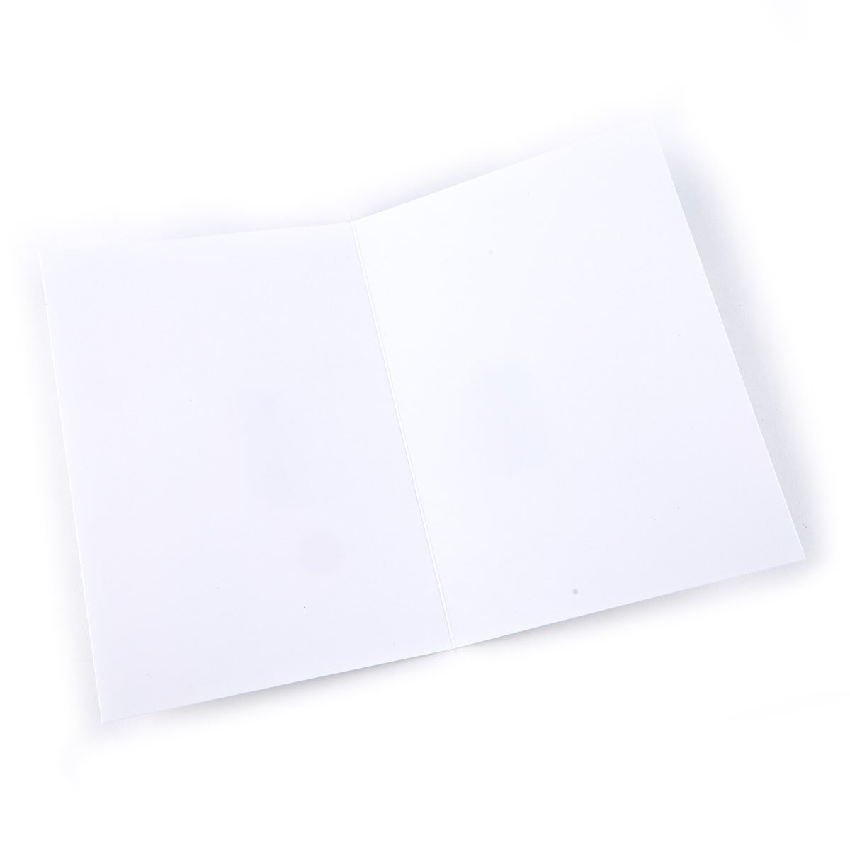 Buy Personalised Kerry Spurling Pride Photo Card - Love Is All We Need