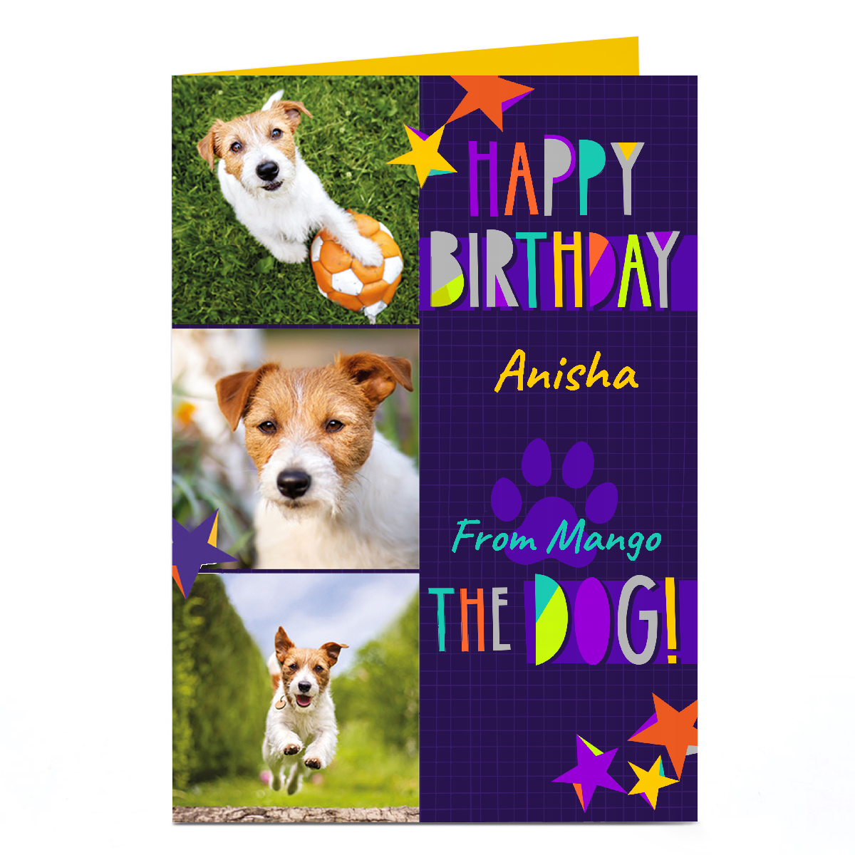 Personalised Studio Pet Day Photo Card - The Dog!