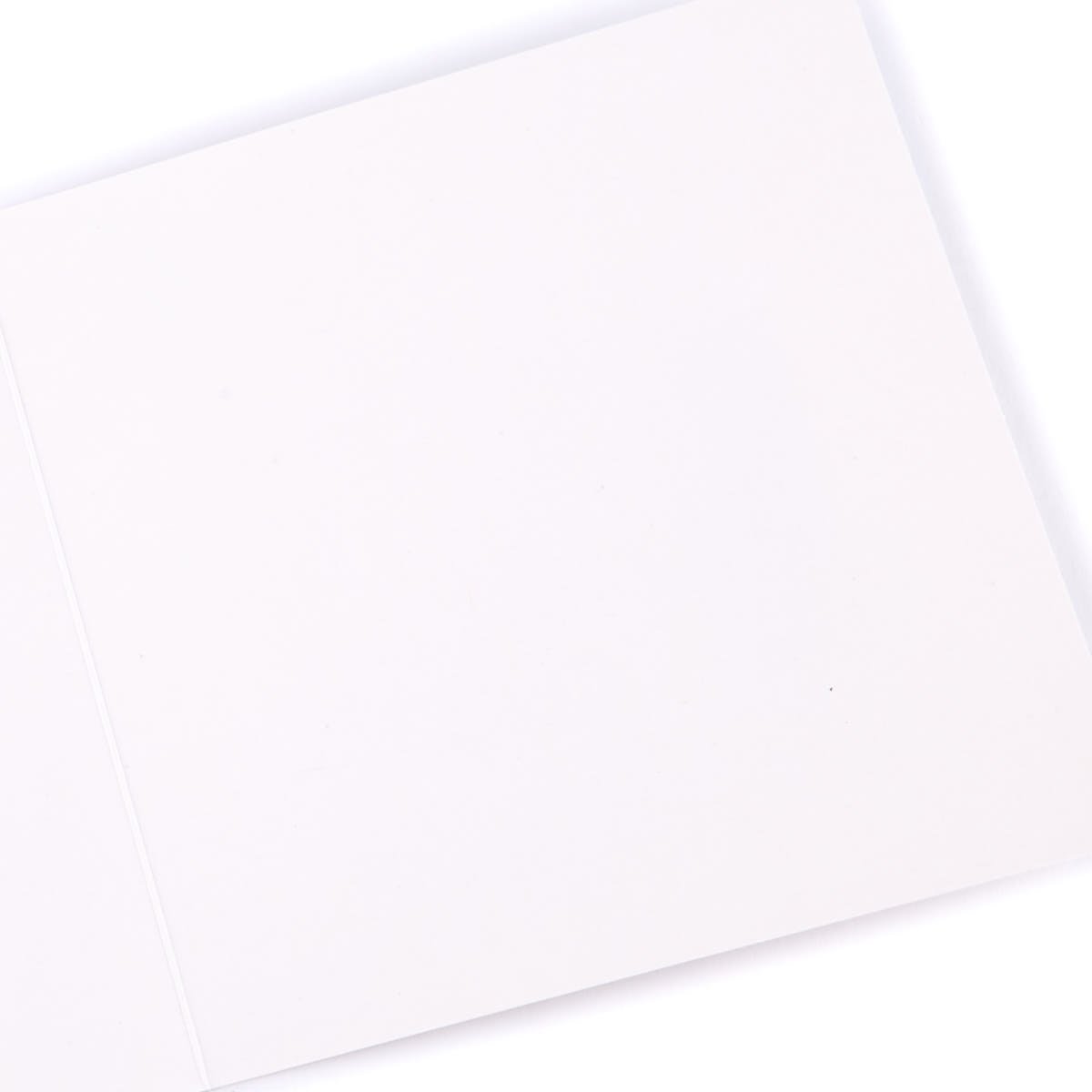 Charity Christmas Cards - Christmas Cat Pack Of 10