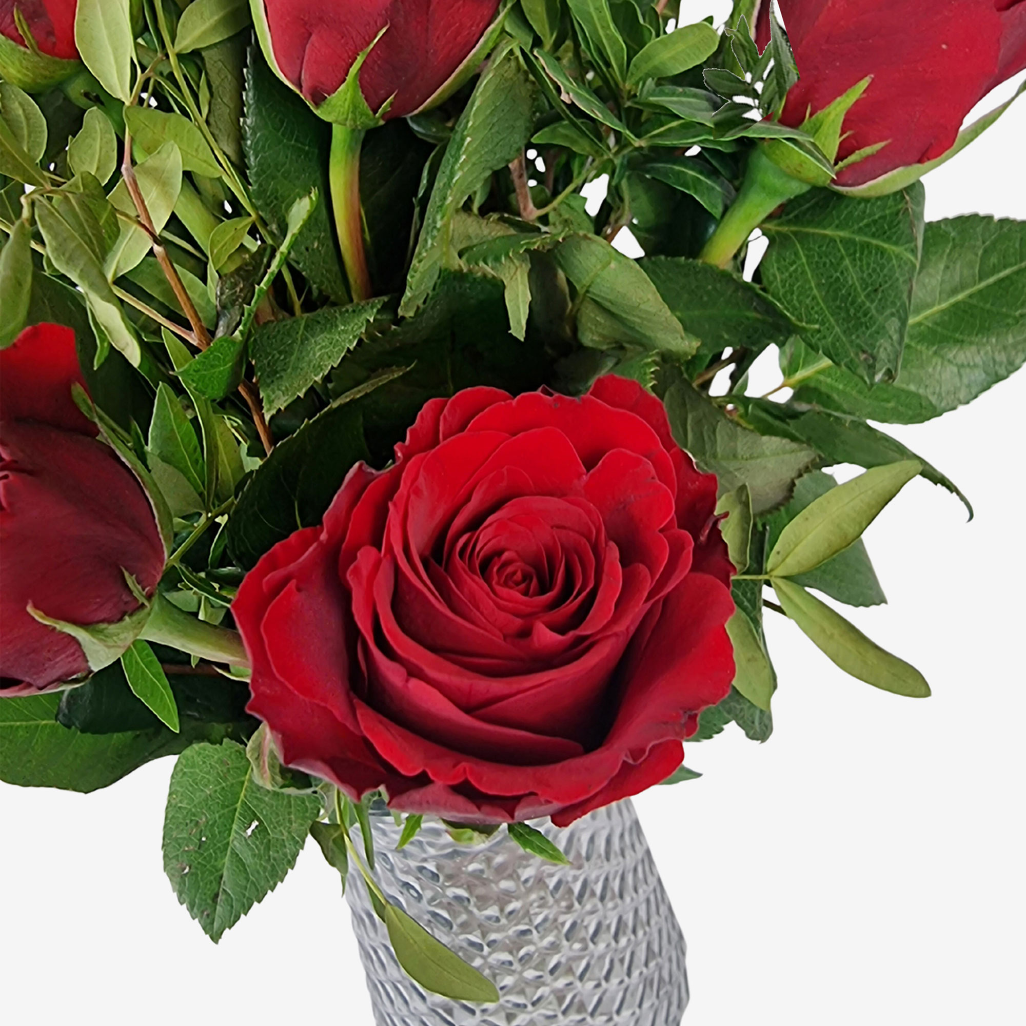 Letterbox Red Roses