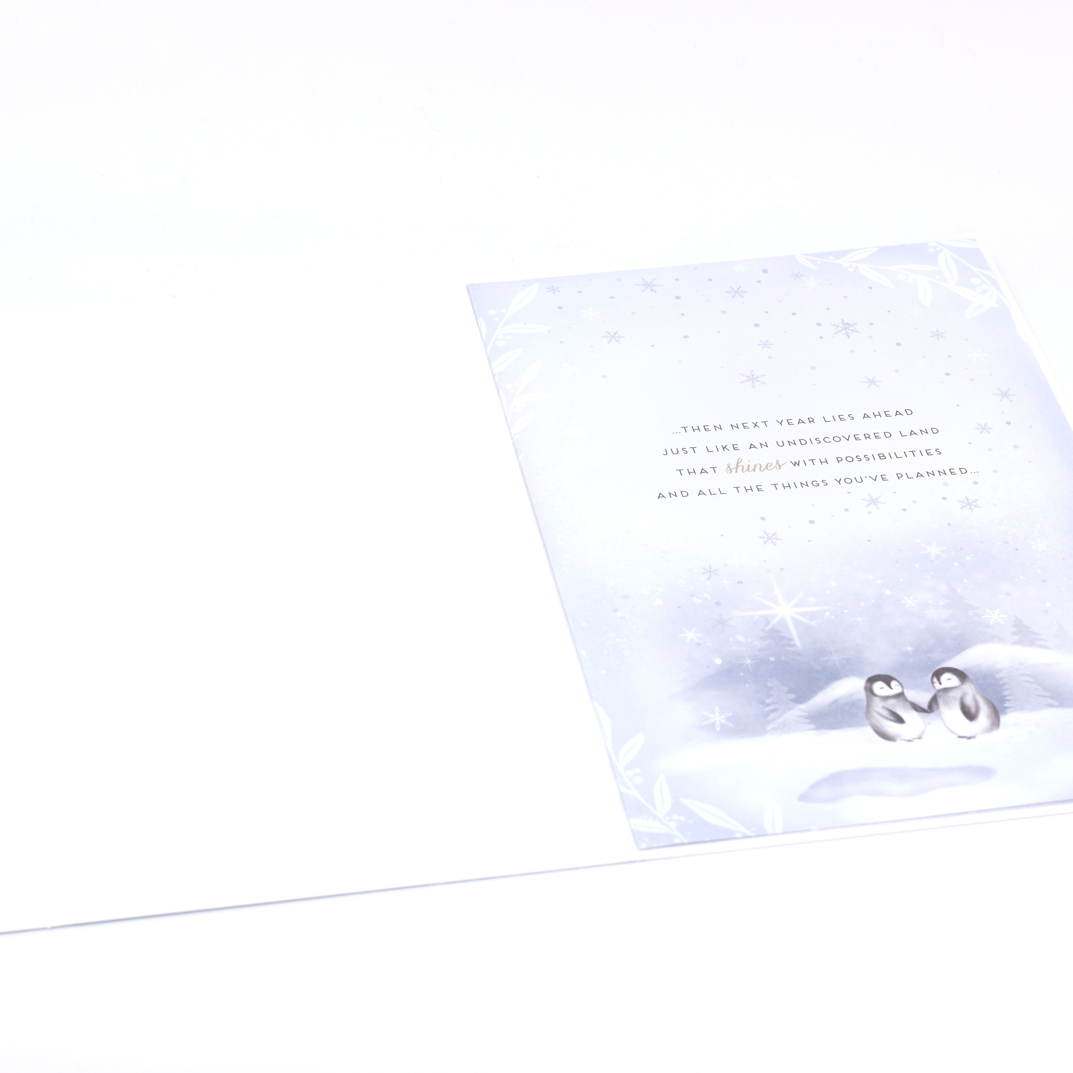 Christmas Card - Auntie And Uncle, Cute Baby Penguins