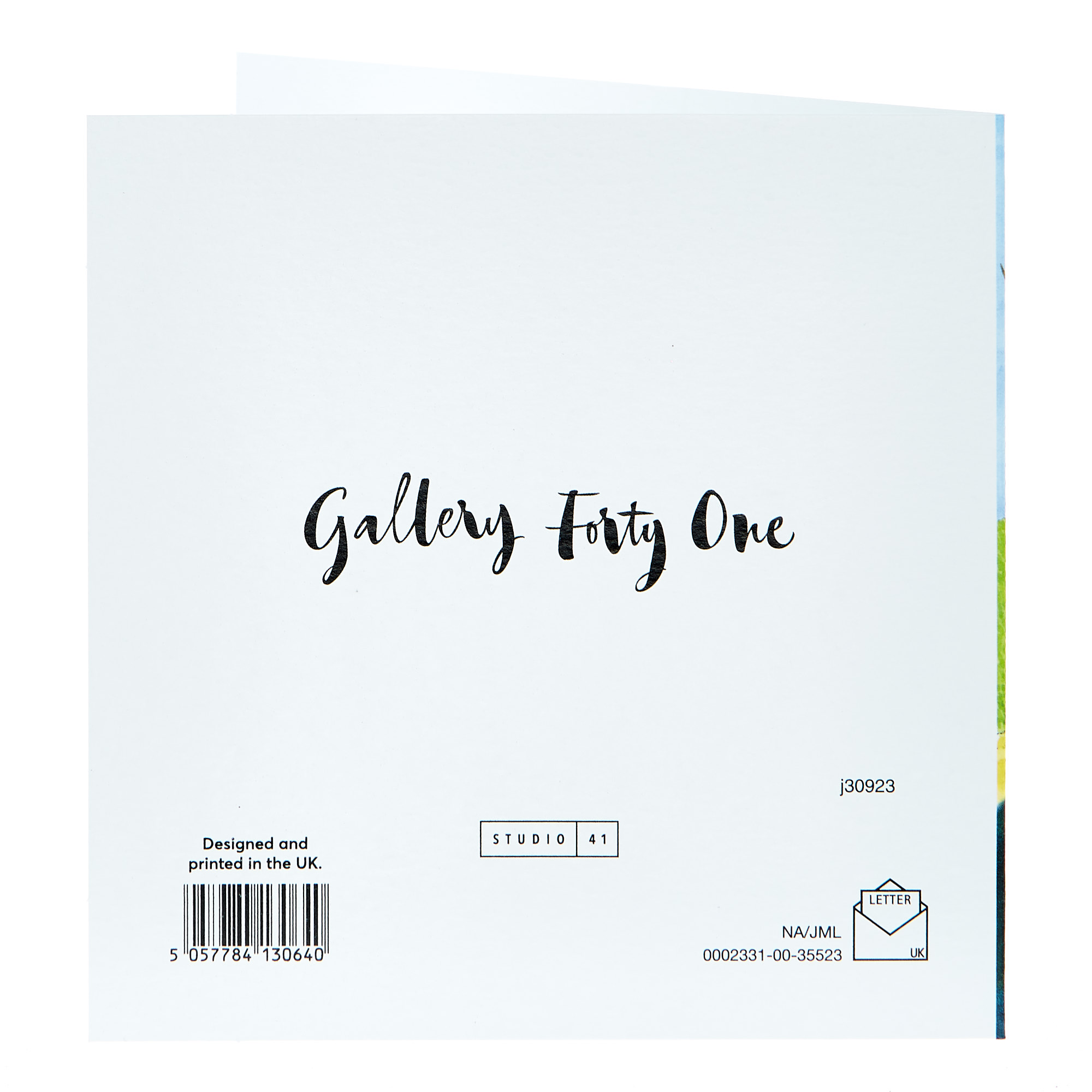 Any Occasion Card - Sunny Garden