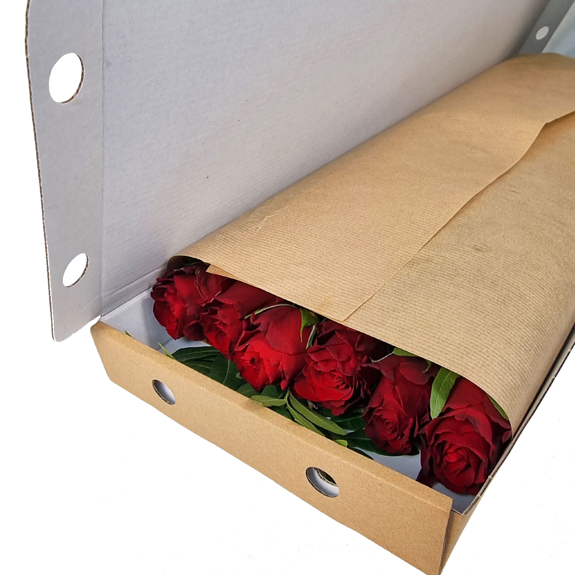 Letterbox Red Roses