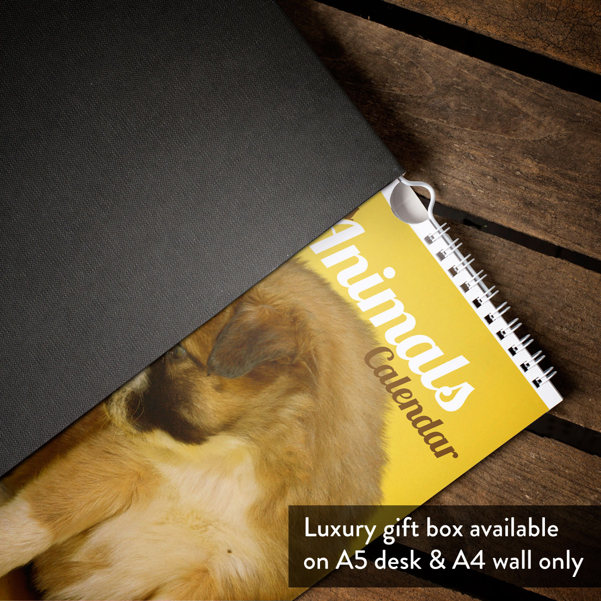 Printess Test - Personalised Cute Animals Calendar