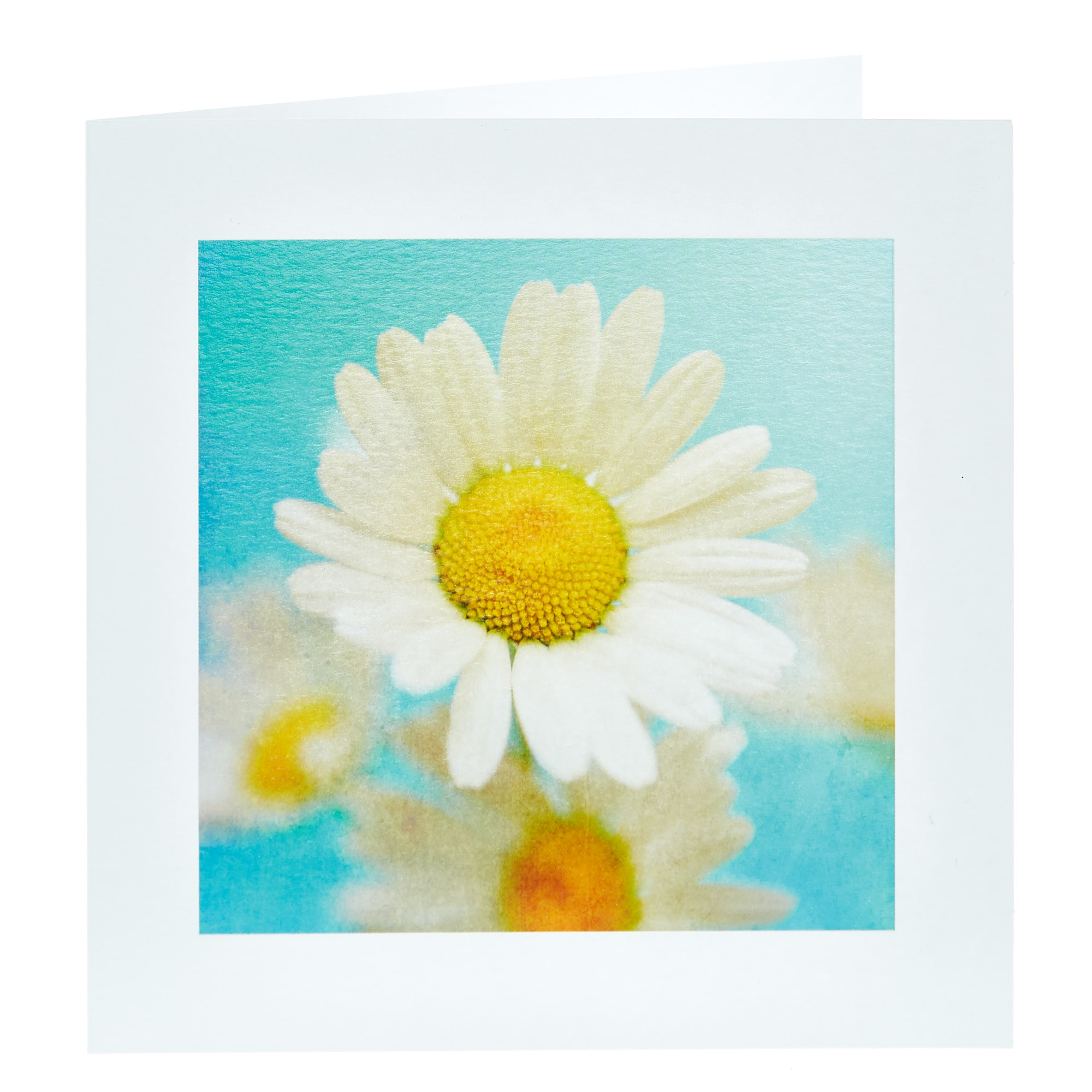 Any Occasion Card - Daisy