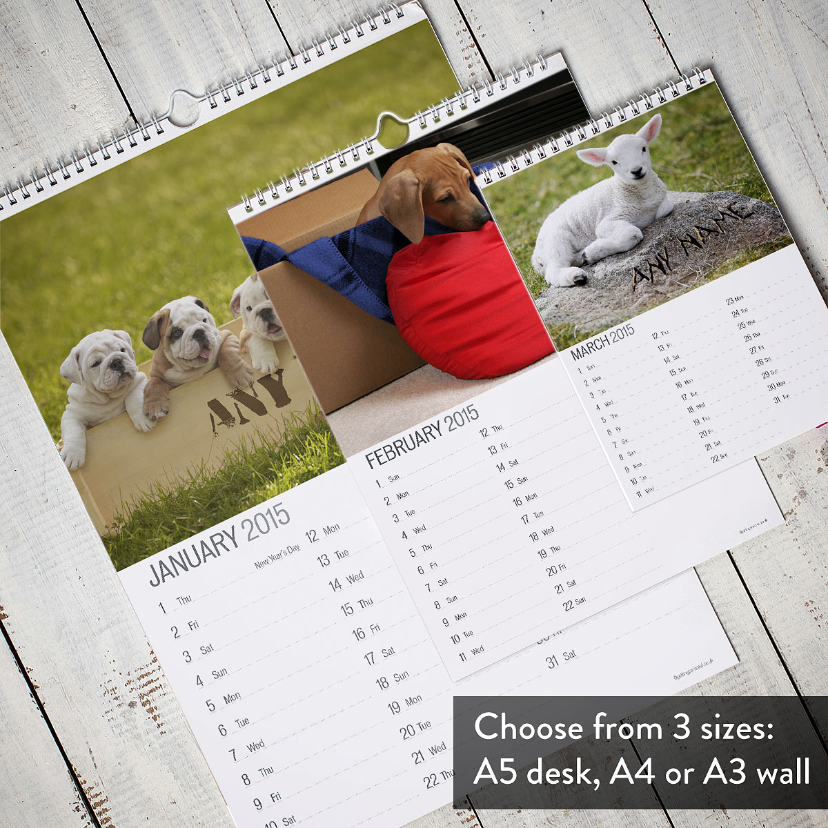 Printess Test - Personalised Cute Animals Calendar