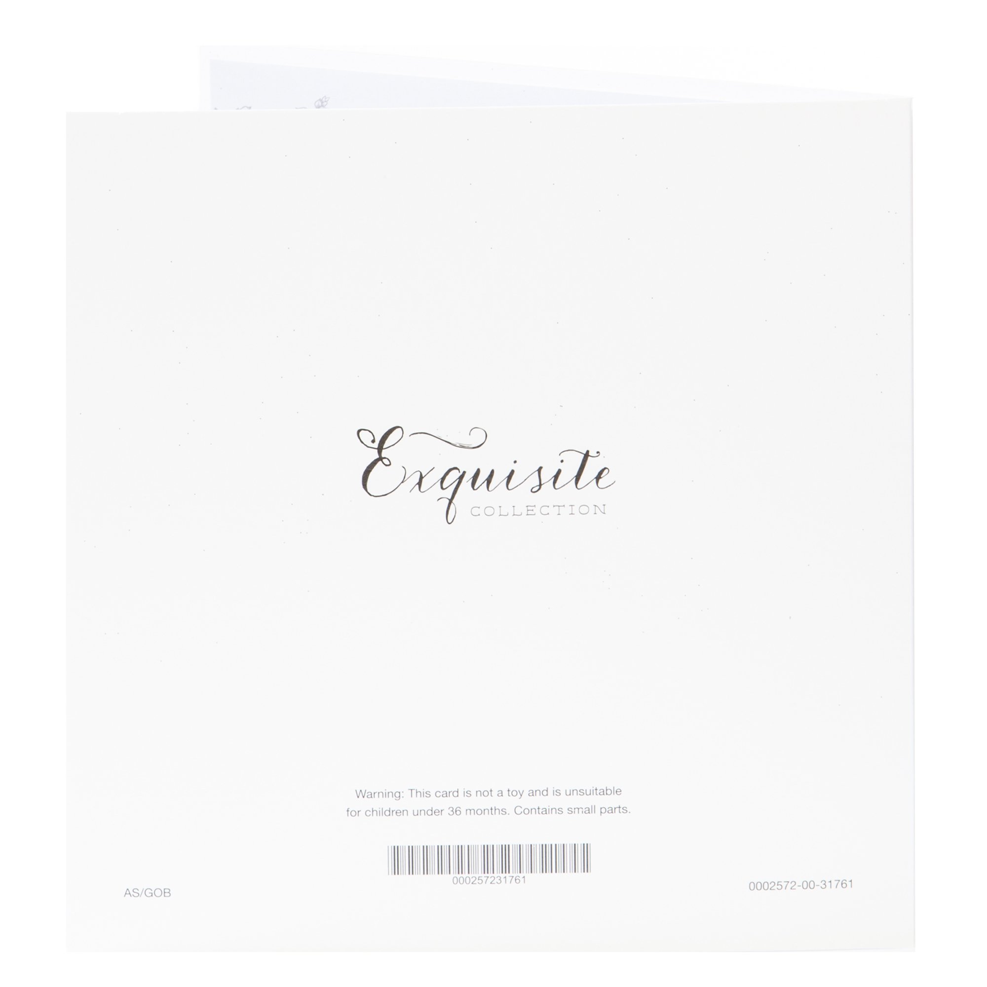 Exquisite Collection 25th Anniversary Card - Silver Wedding