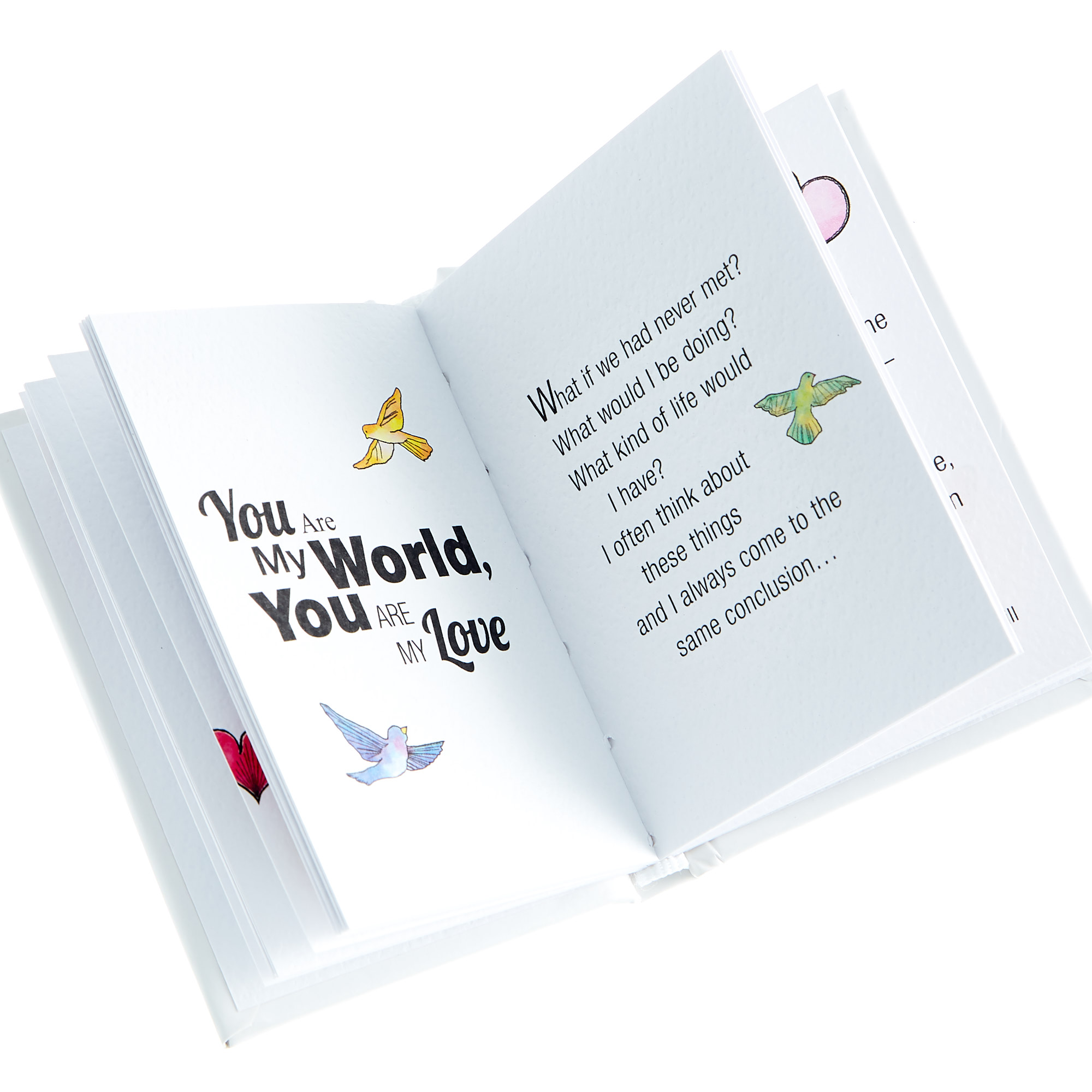 Blue Mountain Arts Keepsake Book - I Love You This Muchâ€¦