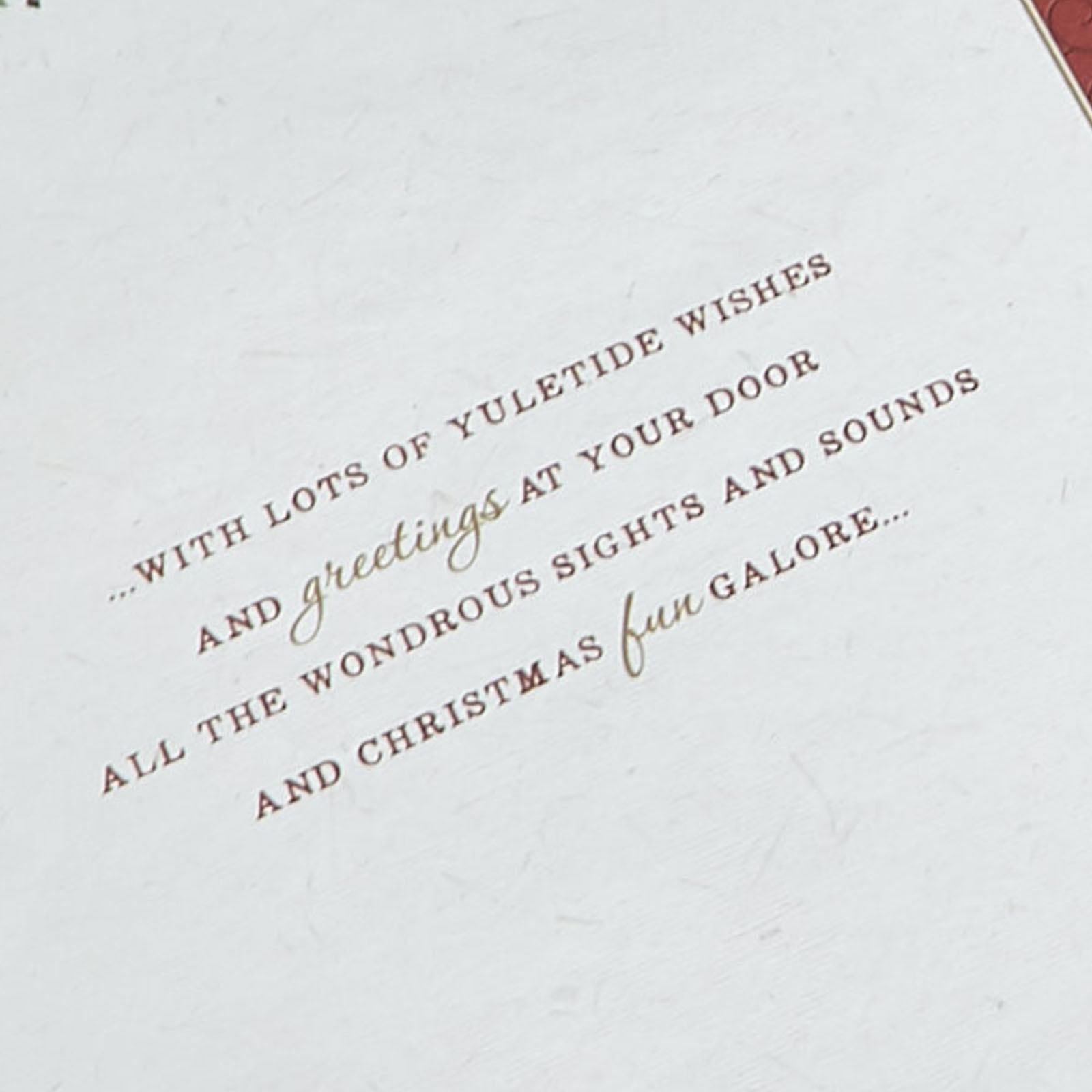 Christmas Card - For Both Of You Poinsettia 