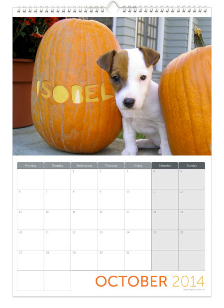 Printess Test - Personalised Cute Animals Calendar
