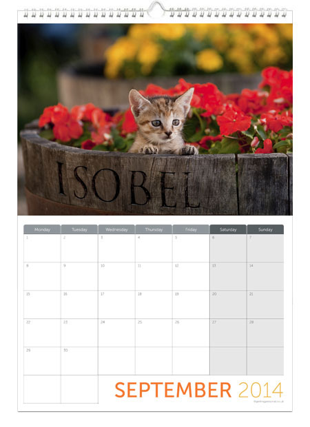 Printess Test - Personalised Cute Animals Calendar