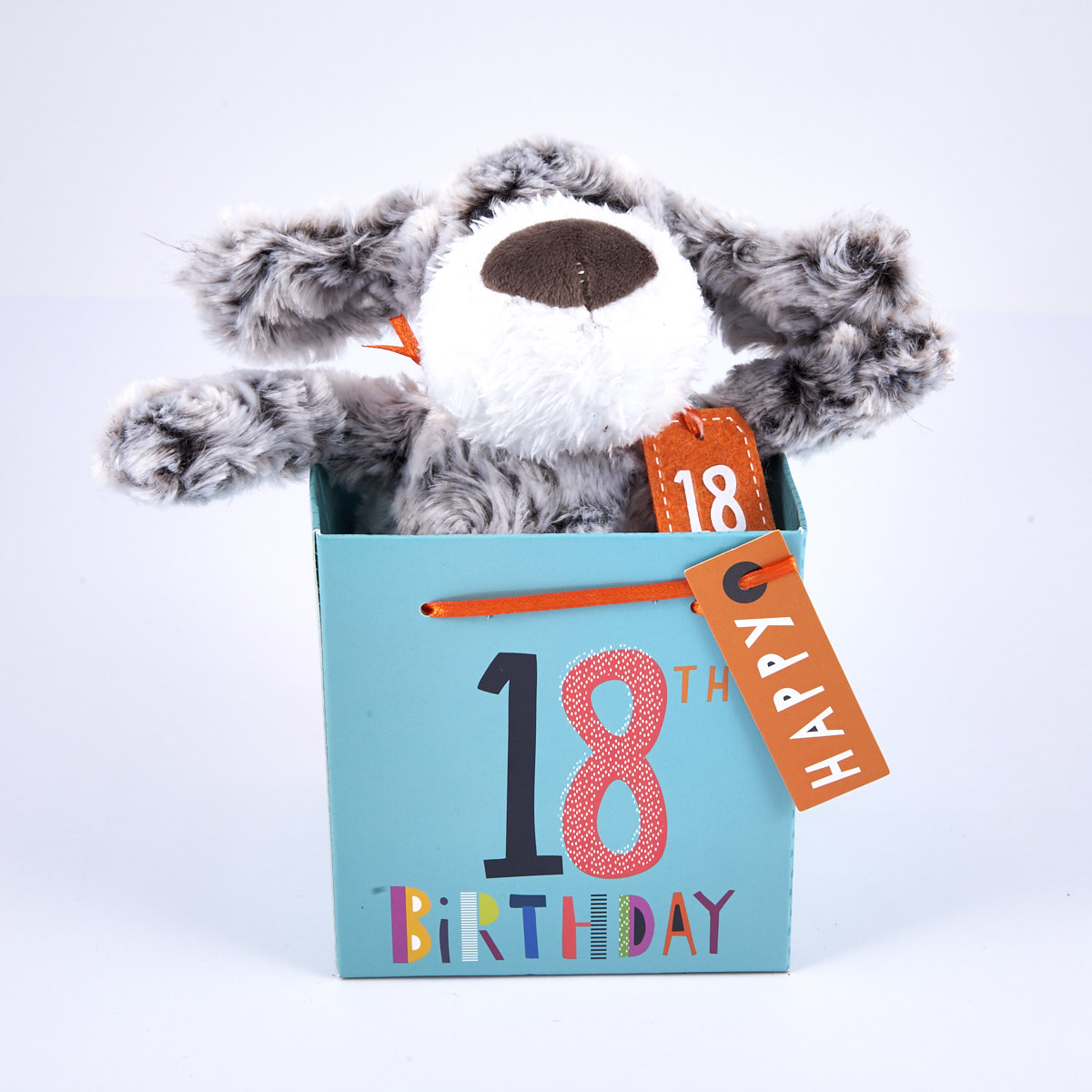 Testing SIT - KingsCharles - 18th Birthday - Grey & White Dog In Gift Bag