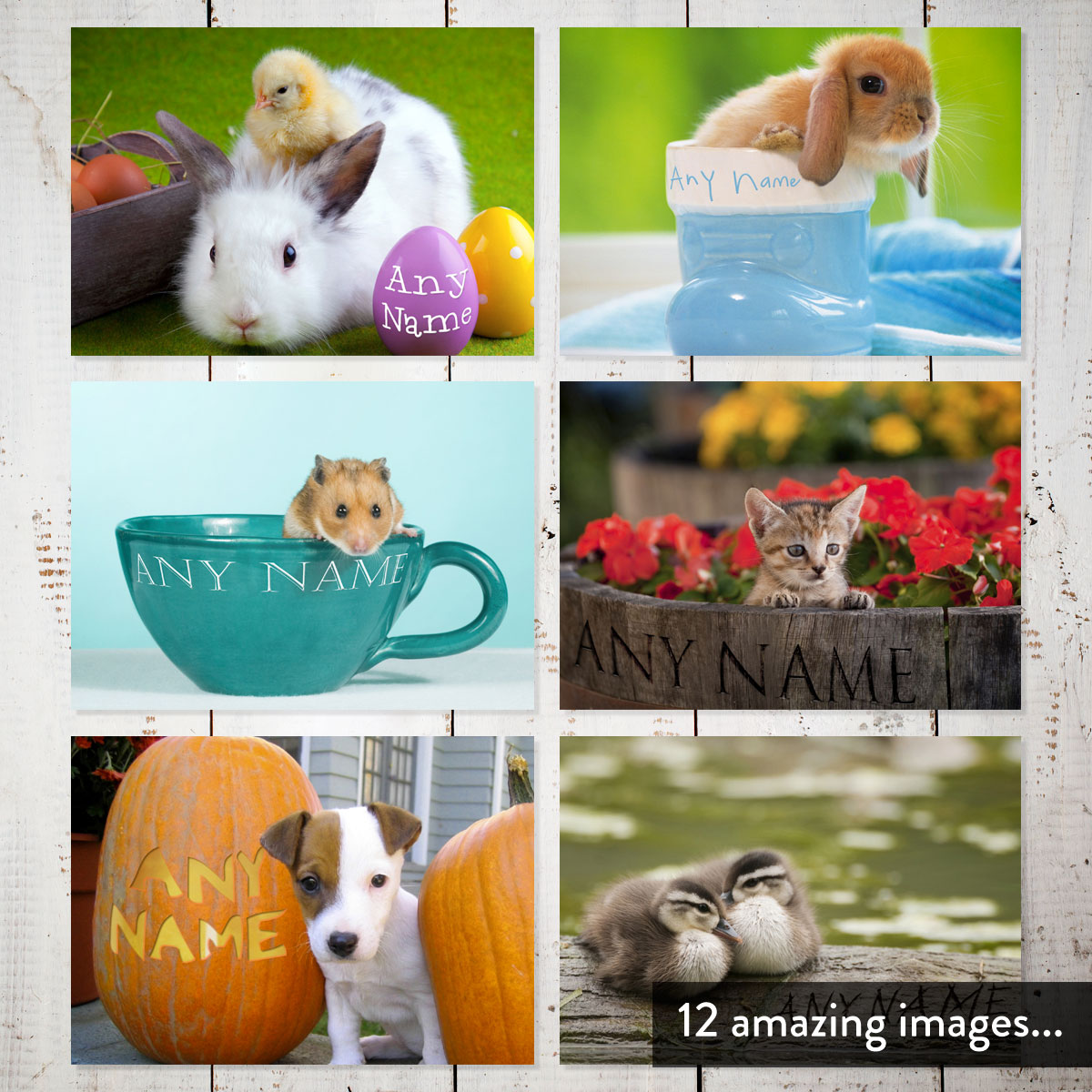 Printess Test - Personalised Cute Animals Calendar