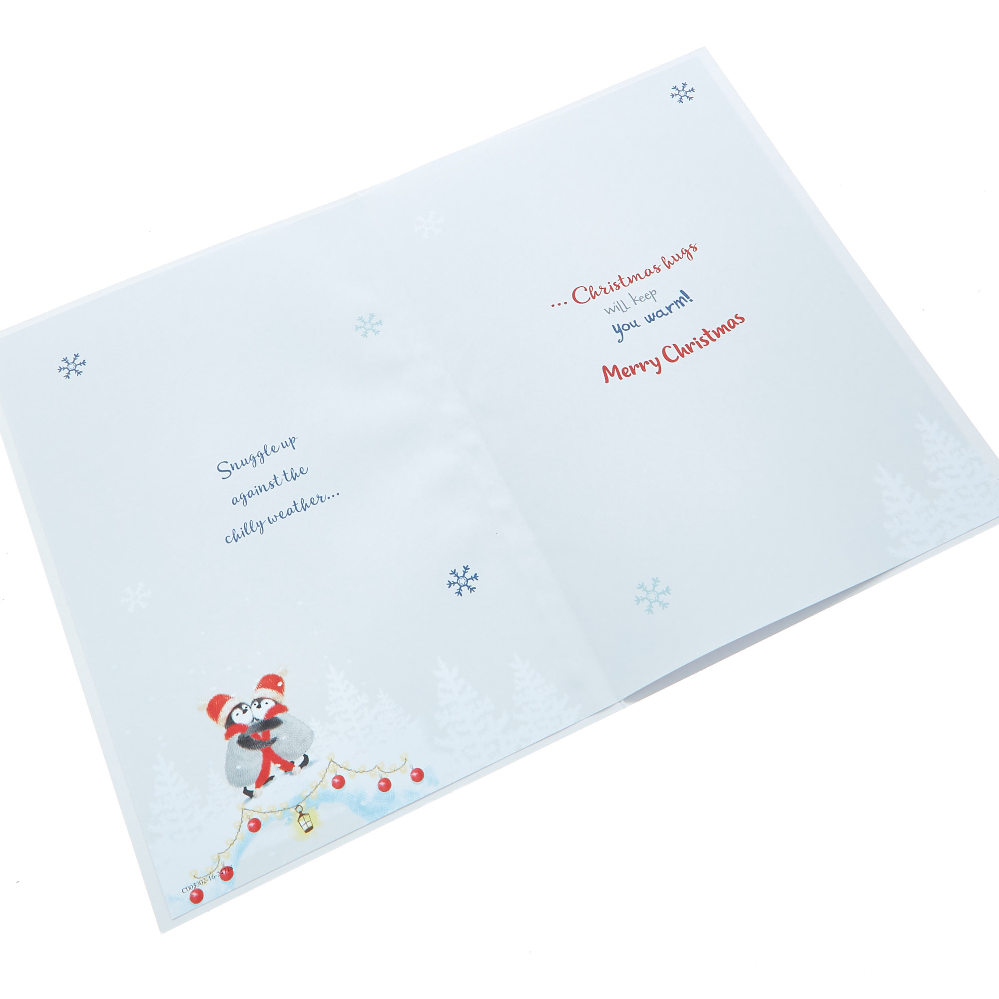 Christmas Card - For Both Of You Penguins 