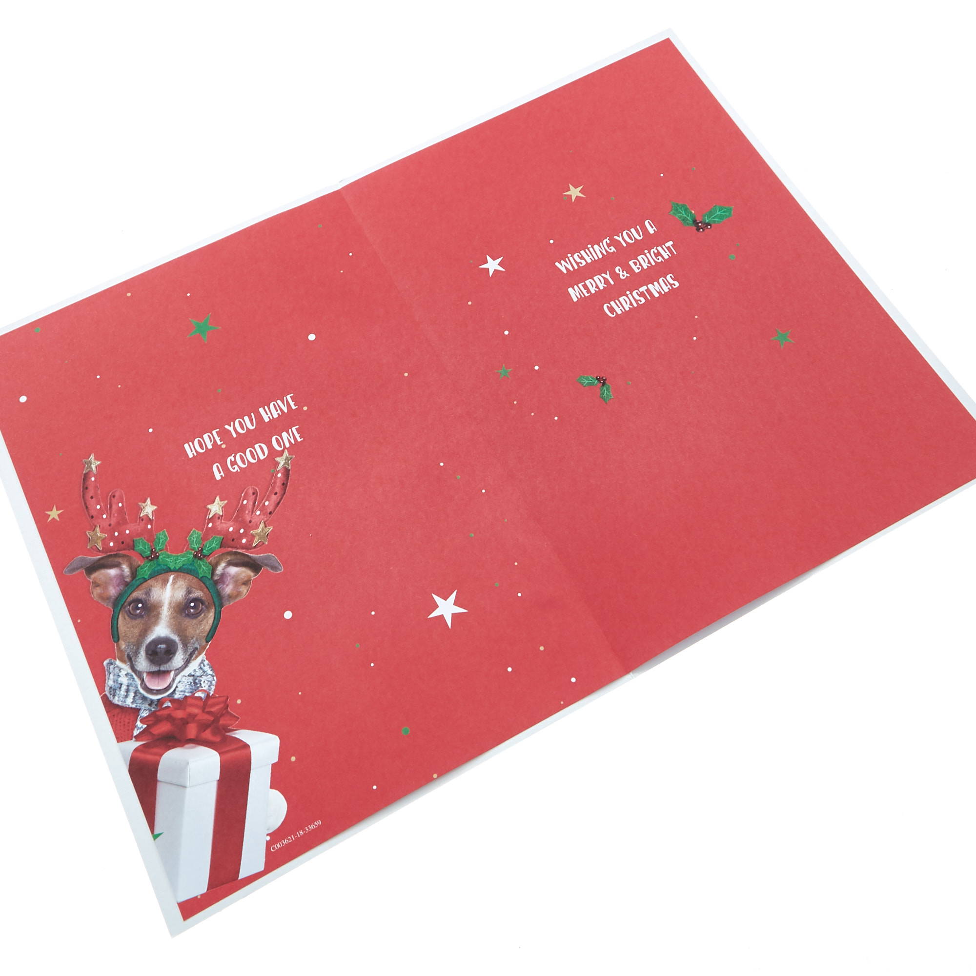 Christmas Card - Brother, Paw-ty Season