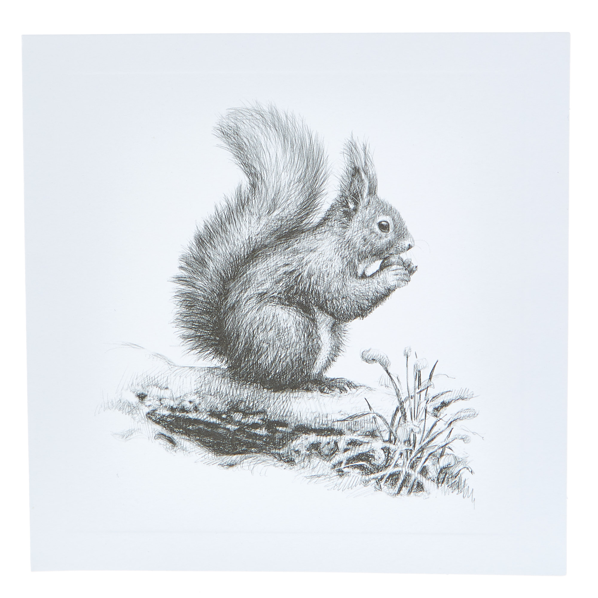 20 Artistic Charity Christmas Cards - 4 Designs 