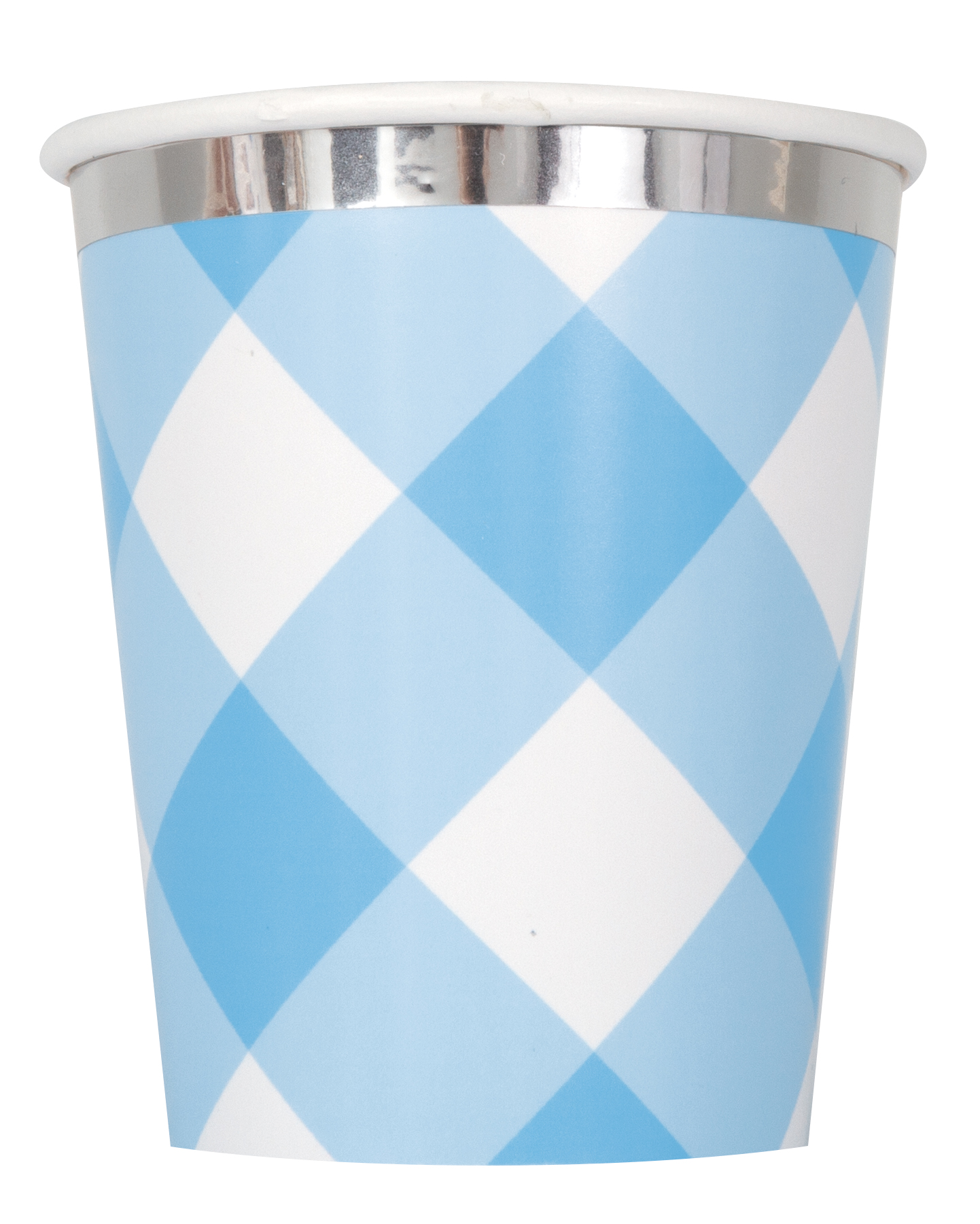 Blue Gingham 1st Birthday Party Tableware & Decorations Bundle - 16 Guests