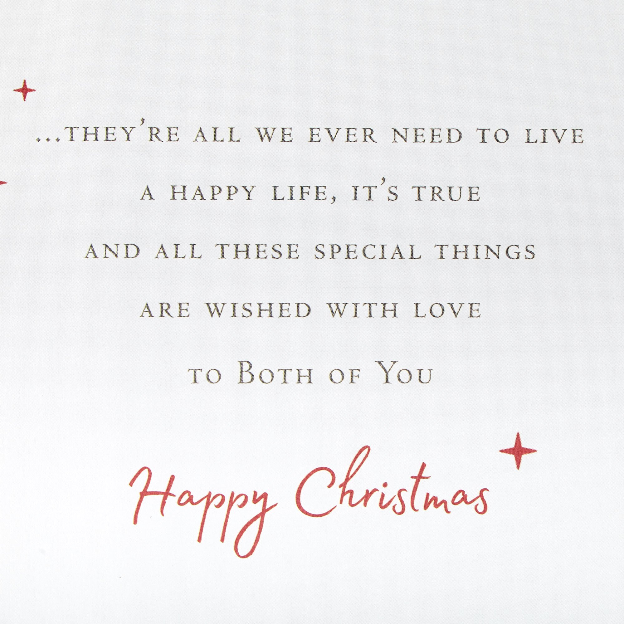 Christmas Card - Festive Wishes To Both Of You