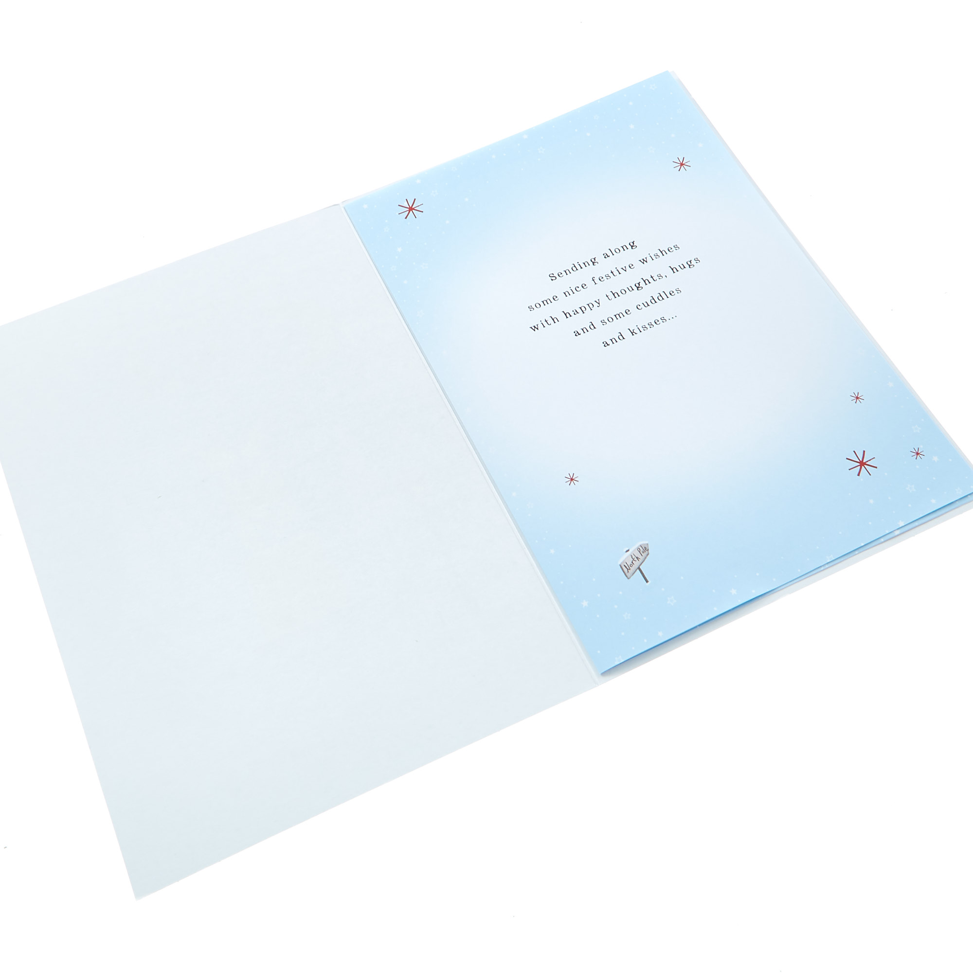 Christmas Card - Aunt & Uncle Penguins 