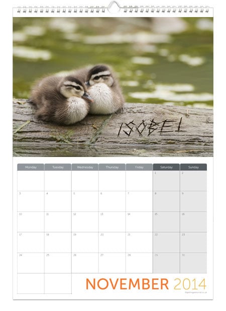 Printess Test - Personalised Cute Animals Calendar
