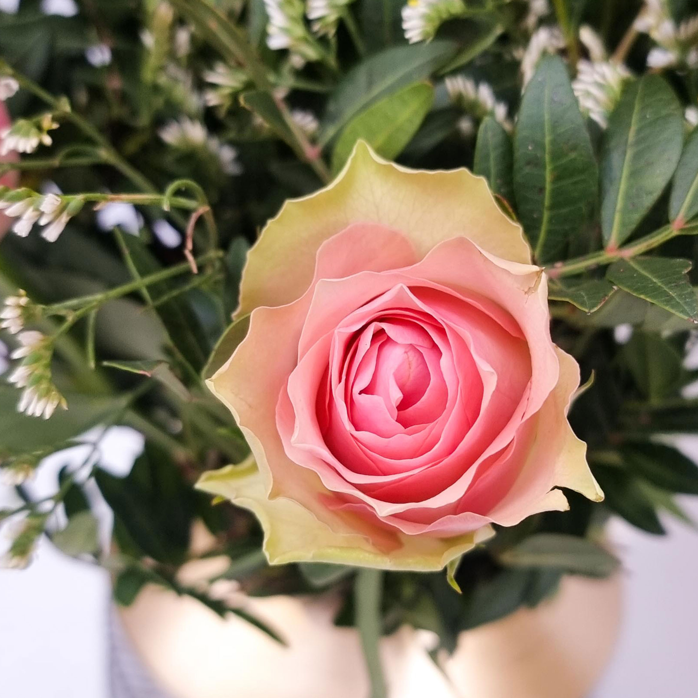Letterbox Pink Roses 