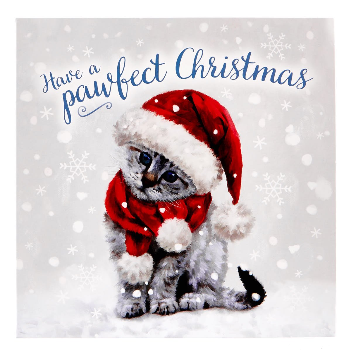 Charity Christmas Cards - Christmas Cat Pack Of 10