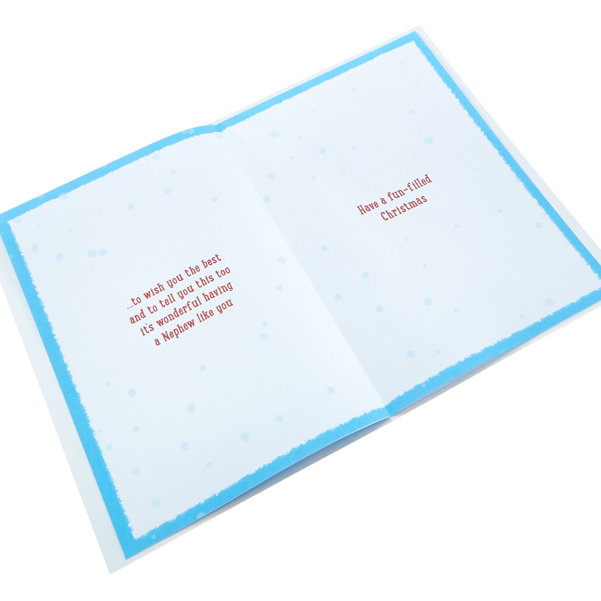 Christmas Card - Brilliant Nephew Pug